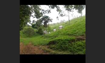 Imagem 3: Fazenda em Santa Tereza sentido Ponte Alta