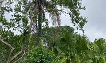 Imagem 6: Chácara para Venda em Dona Catarina Mairinque-SP