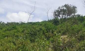 Imagem 4: Vendo lotes 11×25 Escriturado por R$30.000,00