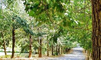 Imagem 7: Terreno - Ivoturucaia - Jundiaí