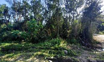 Imagem 4: Terreno em Barrio de Zimbros