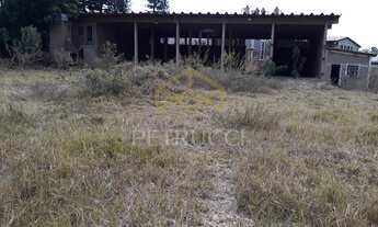 Imagem 6: Barracão - Cascata - Paulínia