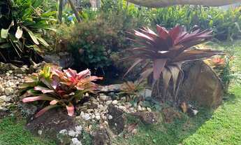 Imagem 6: FLORIANóPOLIS - Casa Padrão - João Paulo