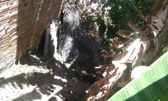 Imagem 3: Terreno - Jardim Novo Campos Elíseos - Campinas