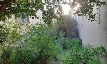 Imagem 4: Porto Alegre - Terreno Padrão - Rio Branco