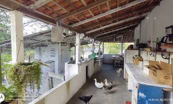 Imagem 6: Sitio 120x250 em Terra Alta por R$180 mil reais