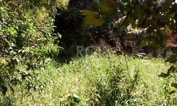 Imagem 4: Porto Alegre - Terreno Padrão - Cristal