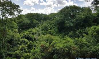 Imagem 6: TERRENO EM CONDOMÍNIO - MORRO DAS PEDRAS - SP