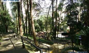 Imagem 5: APARTAMENTO - MORUMBI - SP