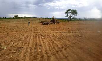 Imagem 2: Fazenda Município Mambai - GO