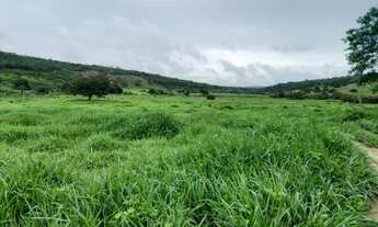 Imagem 3: Fazenda à venda 11 Quartos, 9 Suites, 1260M², Zona Rural, PEDRA AZUL - MG
