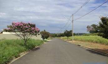 Imagem 2: TERRENO - MEDEIROS - SP