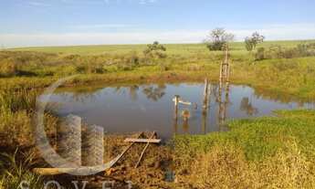 Imagem 3: Fazenda para Venda em Ipeúna, zona rural, 2 dormitórios, 2 banheiros