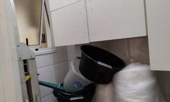 Imagem 7: São Paulo - Casa Padrão - Vila Bertioga