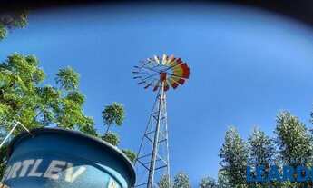 Imagem 2: SÍTIO - PONTE ALTA - SP