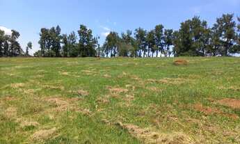 Imagem 5: Lote/Terreno para venda com 600m² no centro de Igaratá-SP