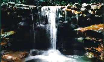 Imagem 4: Oportunidade de você obter uma propriedade em uma área verde e com lagos