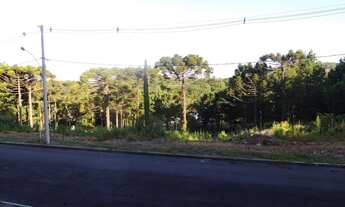 Imagem 6: Terreno à venda, 450 m² por R$ 340.000,00 - Dutra - Gramado/RS
