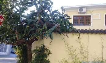 Imagem 3: COMERCIAL - BROOKLIN - SP