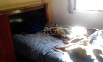 Imagem 7: Porto Alegre - Apartamento Padrão - Praia de Belas