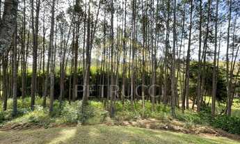 Imagem 3: Sítio - Champirra - Jundiaí