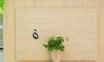 Imagem 2: Apartamento à venda 1 quarto em Florianópolis bairro Centro R$ 385.000,00