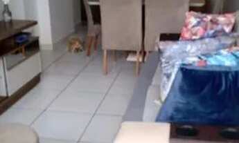 Imagem 3: Oportunidade de apartamento no bairro dos Estados 70m2 e 460mil