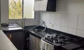 Imagem 6: Apartamento Residencial para locação, Caparroz, São José do Rio Preto - AP0742