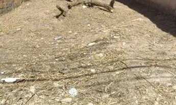 Imagem 5: Terreno à venda, 132 m² por R$ 140.000,00 - Jardim Santa Luzia - São José dos Campos/SP