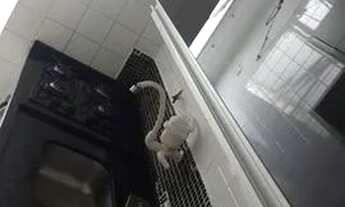 Imagem 5: APARTAMENTO - VILA FORMOSA - SP