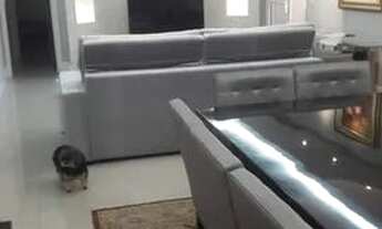 Imagem 2: São Paulo - Apartamento Padrão - Jardim Anália Franco