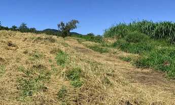 Imagem 3: LOTES NO INTERIOR DE SÃO PAULO - SUPER PROMOÇÃO - NÃO PERCA!