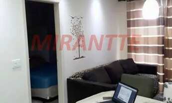 Imagem 3: Lindo apartamento em Vila Amalia
