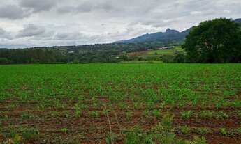 Imagem: Excelente Chácara 1000m2 em Juatuba, com