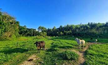 Imagem 7: Sítios à venda, 20.000 m² à partir de R$ 330.000 - Itapeti - Guararema/SP