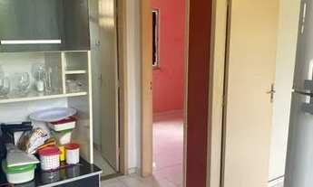 Imagem 5: Conjunto dos Ypes roxo