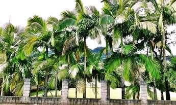 Imagem: Casa à venda 4 quartos em Blumenau bairro