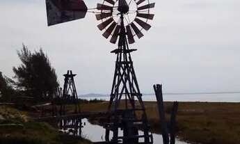 Imagem 6: Arraial do Cabo - Figueira