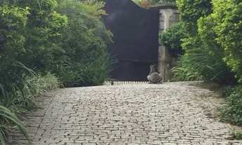 Imagem 2: Excelente Casa no Bairro Três Figueiras!