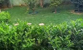 Imagem 5: Apartamento com 2 dormitórios para alugar, 57 m² por R$ 1.980,00/mês - Parque Villa Flores