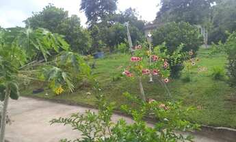 Imagem 2: Chácara, com fogão de lenha e aprisco - São Gonçalo - RJ (Sítio