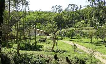 Imagem 6: Sítio à venda 2 quartos em Massaranduba bairro Primeiro Braço Do Norte R$ 580.000,01