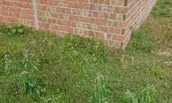 Imagem 2: Vendo ou troco terreno em Cajupiranga