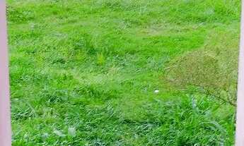 Imagem 5: Alugo casa em RATONES