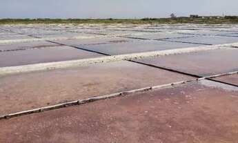 Imagem 2: Arraial do Cabo - Figueira