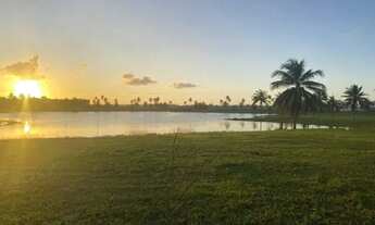 Imagem 2: Lote no DAMHA 60028