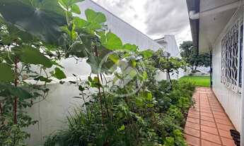 Imagem 8: Terreno Incrível no Bairro Maria Luíza codigo: 96756