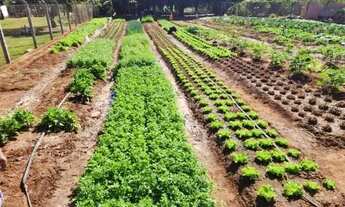 Imagem 2: Chácara com 1000m2, com escritura, Estância São Jorge, no trevo de Guapiaçu
