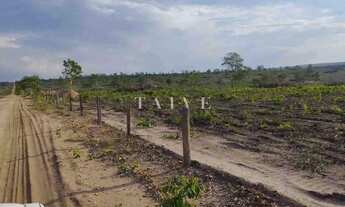 Imagem 6: Fazenda 3000 hectares à venda , área plana, casa sede, barracão, poço artesiano, internet