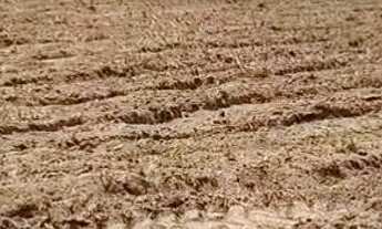 Imagem 3: Fazenda Goiás - Mara Rosa